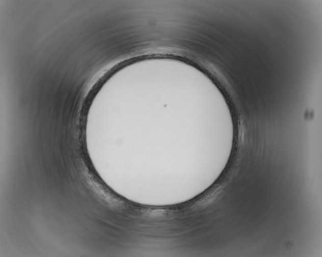 X0000113540828200909181021