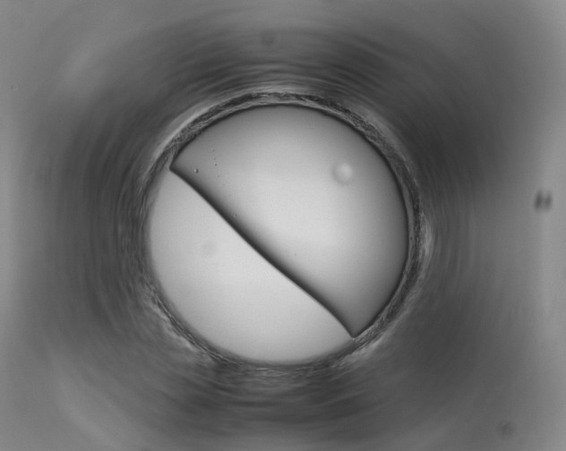 X0000113540829200909181021