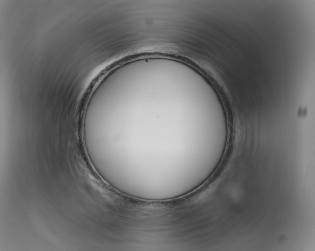 X0000113540830200909181021