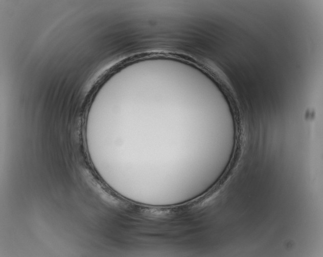 X0000113540831200909181021