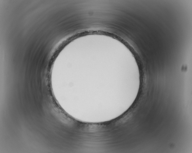 X0000113540832200909181021