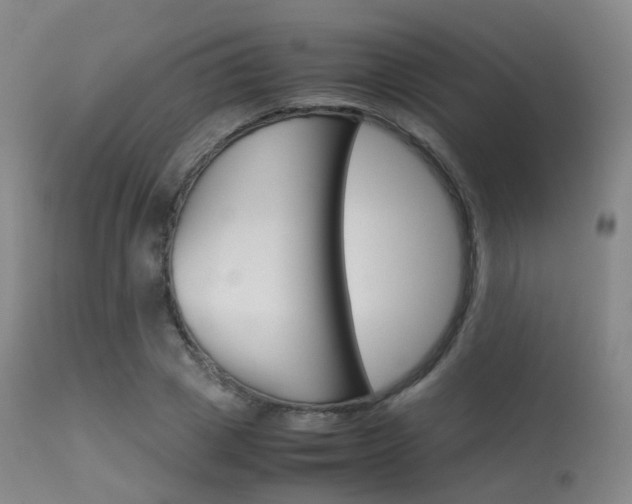 X0000113540833200909181021