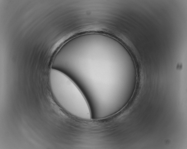 X0000113540834200909181021