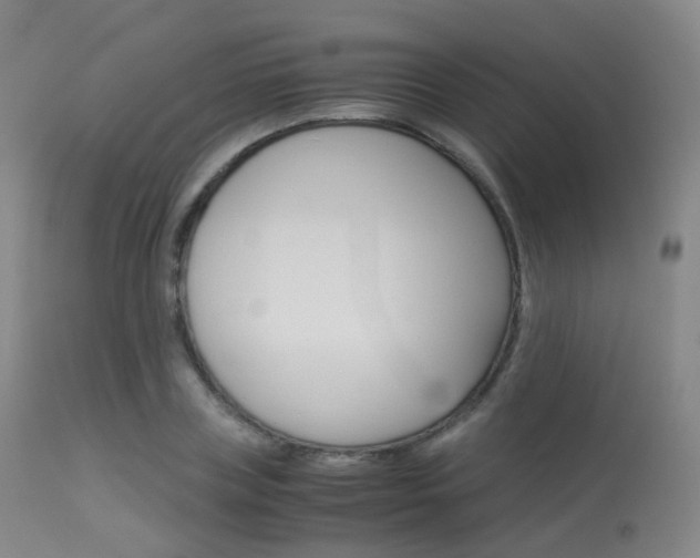 X0000113540835200909181021