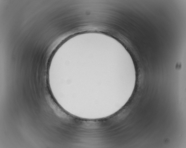 X0000113540836200909181021