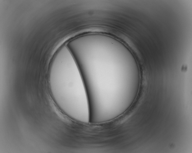 X0000113540837200909181021