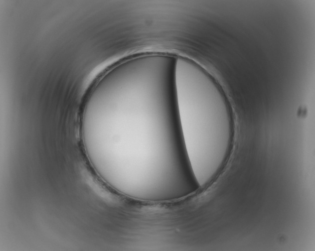 X0000113540838200909181021