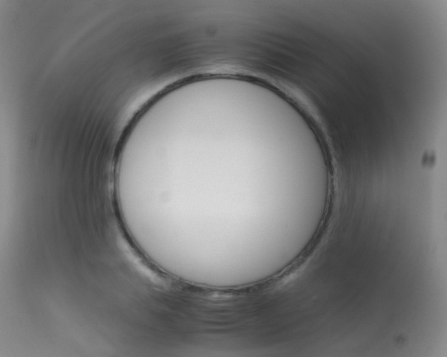 X0000113540839200909181021
