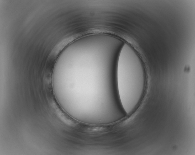 X0000113540841200909181022