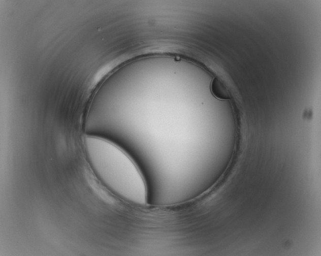 X0000113540842200909181022