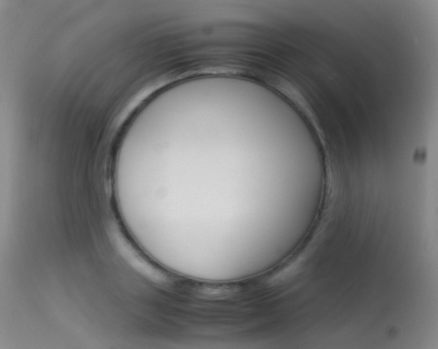 X0000113540843200909181022
