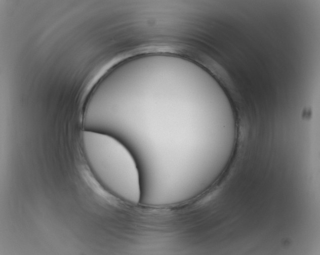 X0000113540844200909181022