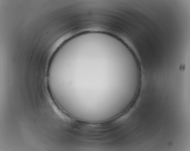 X0000113540845200909181022