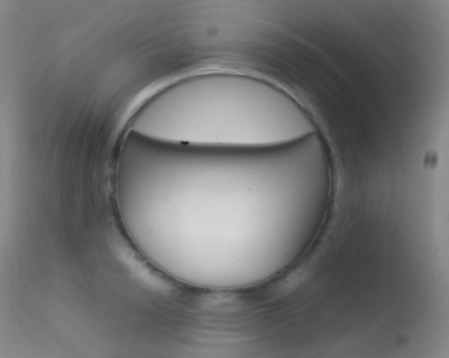 X0000113540846200909181022