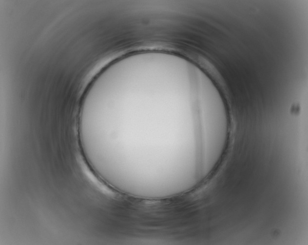 X0000113540847200909181022