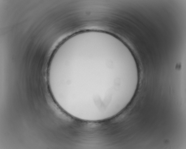 X0000113540848200909181022