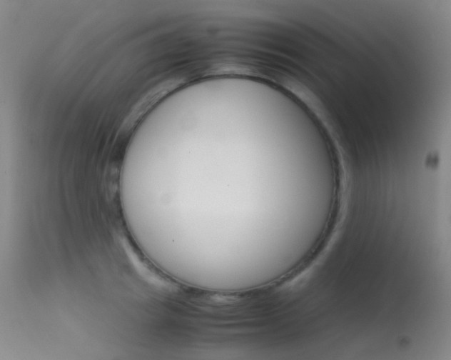 X0000113540849200909181022