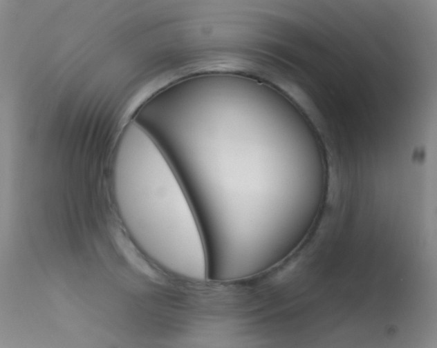X0000113540850200909181022
