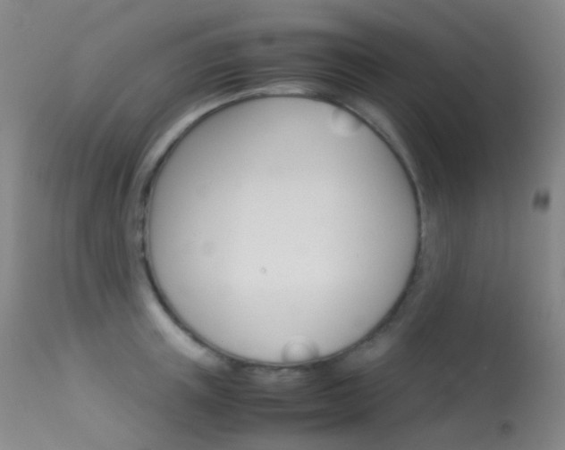 X0000113540851200909181022