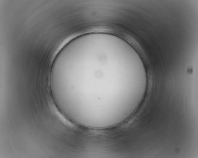 X0000113540852200909181022