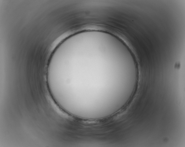 X0000113540853200909181022