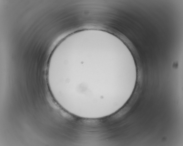 X0000113540856200909181022