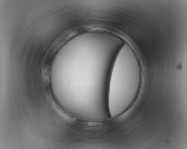 X0000113540857200909181022