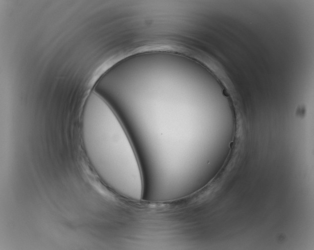 X0000113540858200909181022