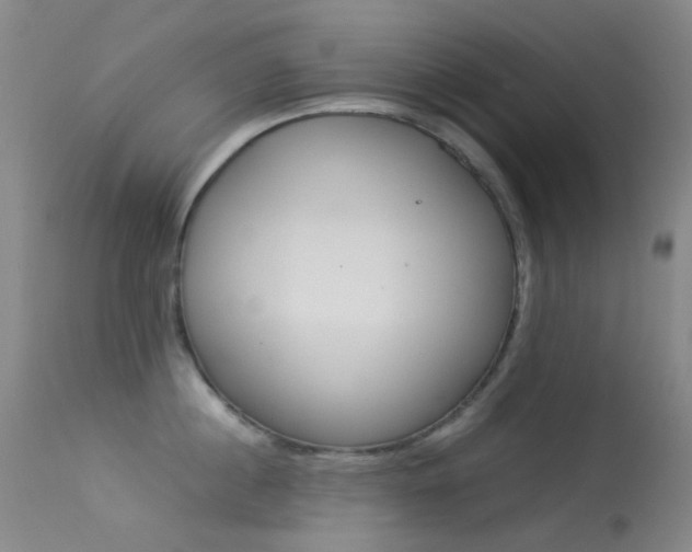 X0000113540860200909181022