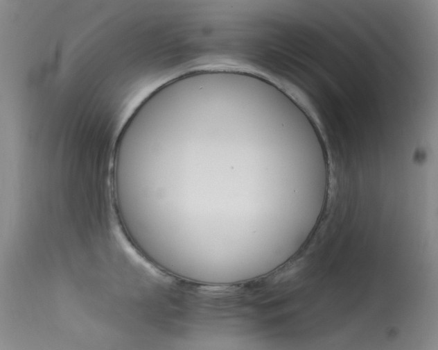 X0000113540863200909181022