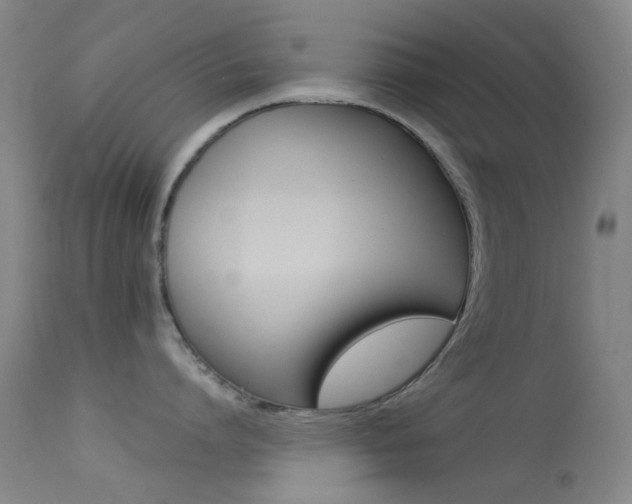 X0000113540864200909181022