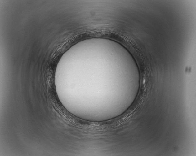 X0000113540867200909181021