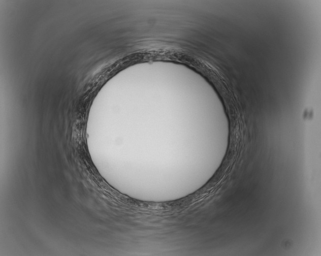 X0000113540869200909181021