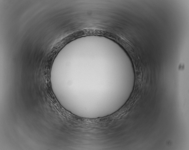 X0000113540870200909181021