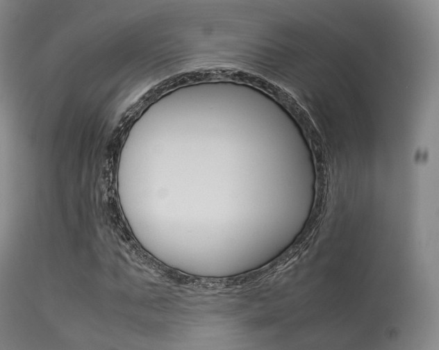 X0000113540871200909181021