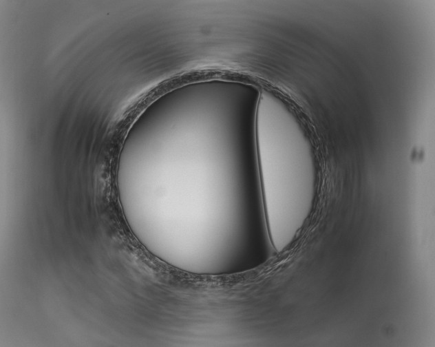 X0000113540872200909181021