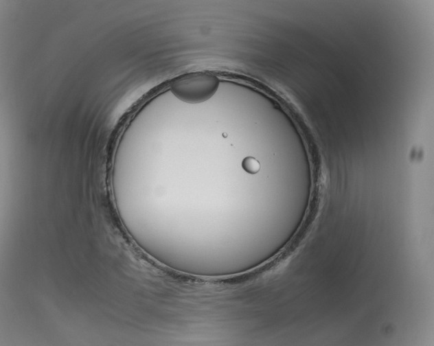 X0000113540877200909181021