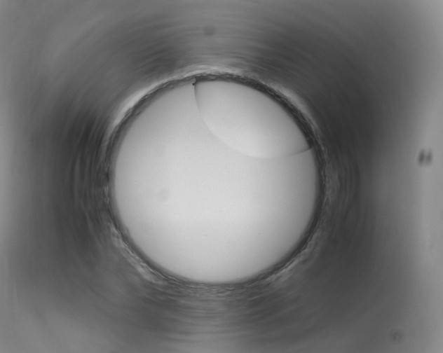X0000113540878200909181021