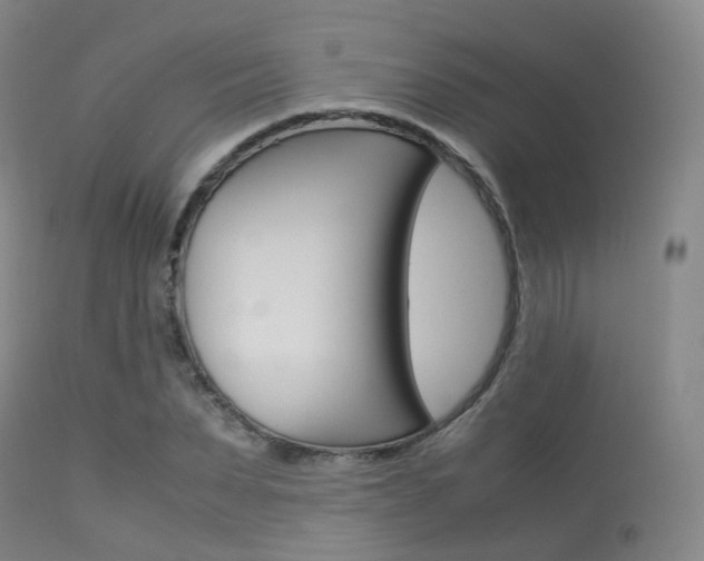 X0000113540879200909181021