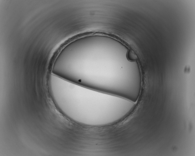 X0000113540880200909181021