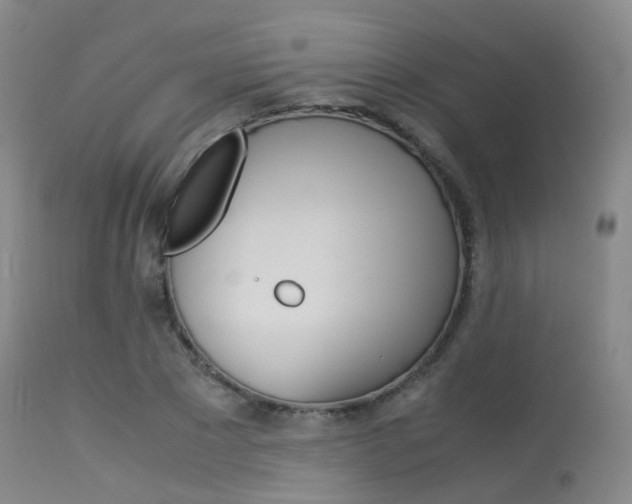 X0000113540881200909181021