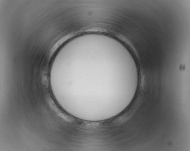 X0000113540882200909181021