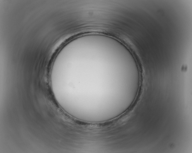 X0000113540883200909181021
