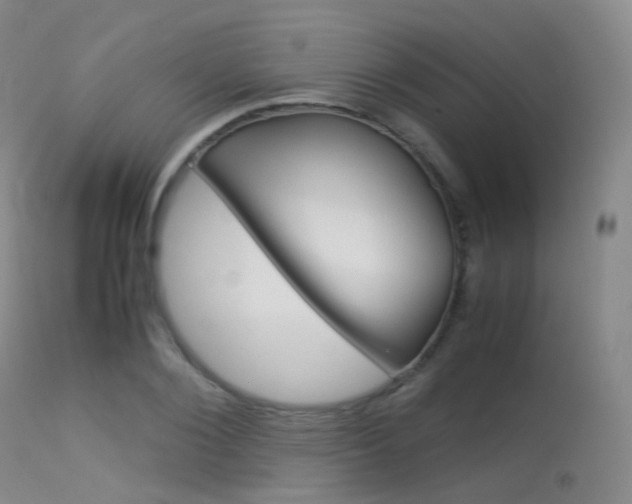 X0000113540884200909181021