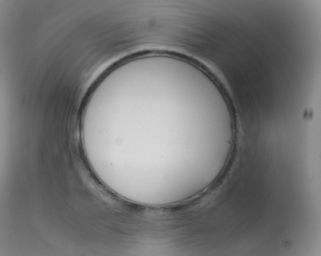 X0000113540887200909181021