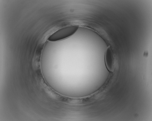 X0000113540889200909181021