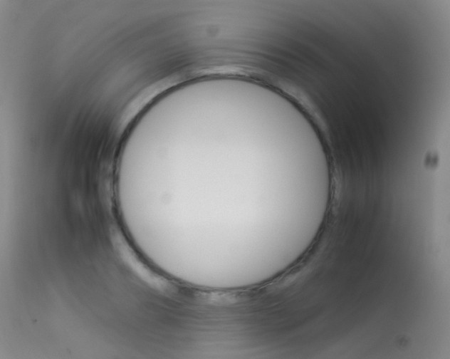 X0000113540890200909181021