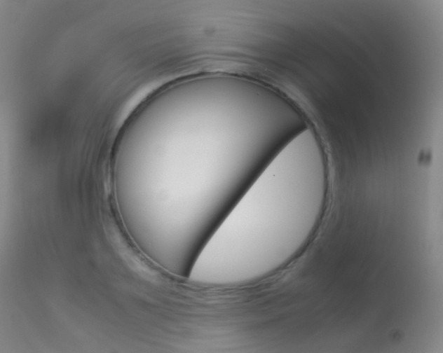 X0000113540891200909181021