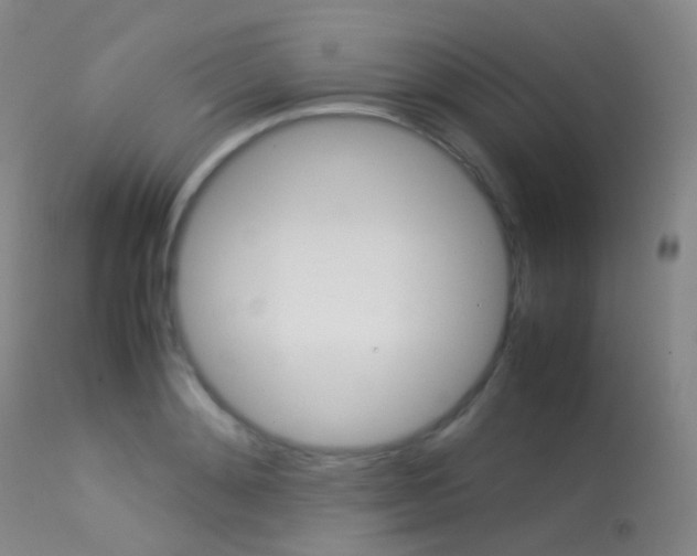 X0000113540892200909181021