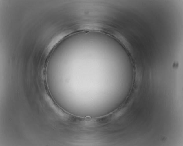 X0000113540893200909181021
